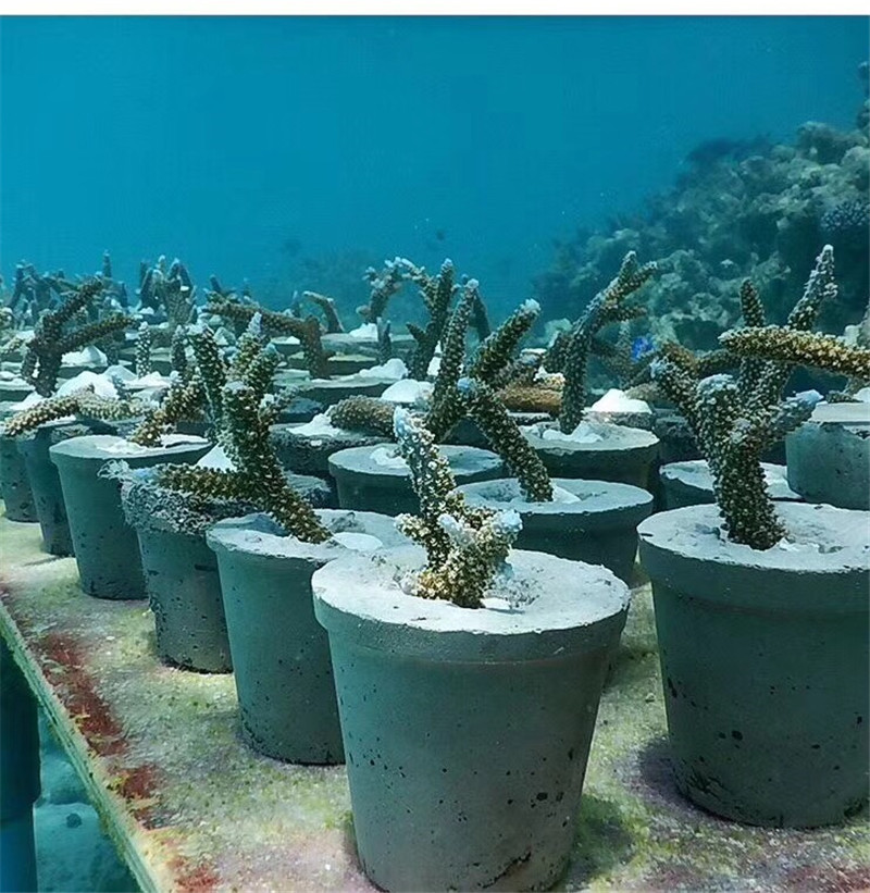 马尔代夫水下博物馆